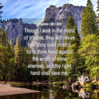 Picture 04 - Psalms 138:7 KJV - Though I walk in the midst of trouble, thou wilt - Bible Verse Picture
