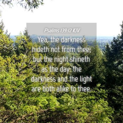 Picture 04 - Psalms 139:12 KJV - Yea, the darkness hideth not from thee; but the - Bible Verse Picture
