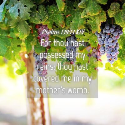 Picture 04 - Psalms 139:13 KJV - For thou hast possessed my reins: thou hast - Bible Verse Picture