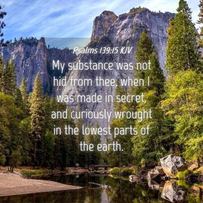 Picture 04 - Psalms 139:15 KJV - My substance was not hid from thee, when I was - Bible Verse Picture