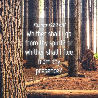 Picture 04 - Psalms 139:7 KJV - Whither shall I go from thy spirit? or whither - Bible Verse Picture