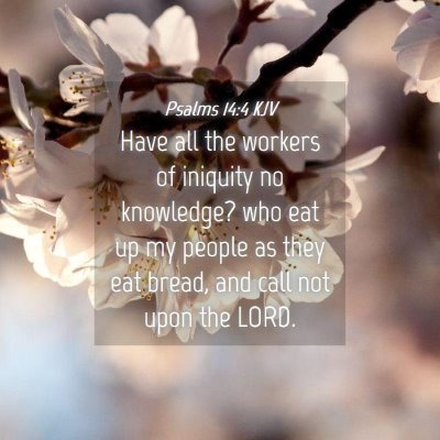Picture 04 - Psalms 14:4 KJV - Have all the workers of iniquity no knowledge? - Bible Verse Picture