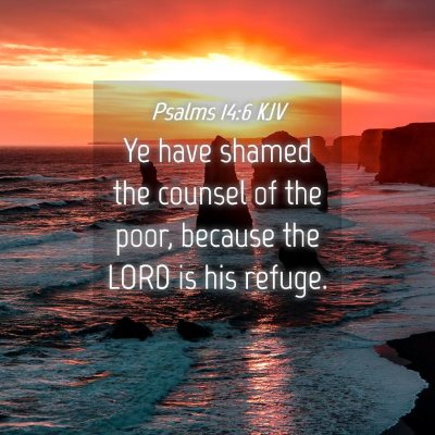 Picture 04 - Psalms 14:6 KJV - Ye have shamed the counsel of the poor, because - Bible Verse Picture