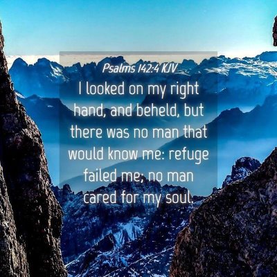 Picture 04 - Psalms 142:4 KJV - I looked on my right hand, and beheld, but there - Bible Verse Picture