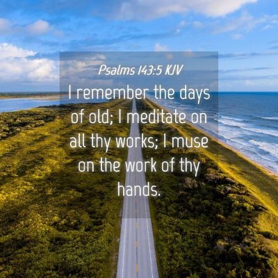 Picture 04 - Psalms 143:5 KJV - I remember the days of old; I meditate on all thy - Bible Verse Picture