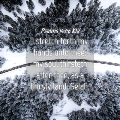 Picture 04 - Psalms 143:6 KJV - I stretch forth my hands unto thee: my soul - Bible Verse Picture