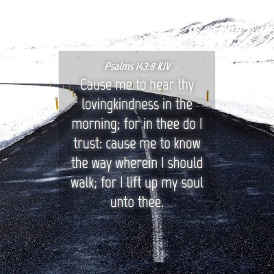 Picture 04 - Psalms 143:8 KJV - Cause me to hear thy lovingkindness in the - Bible Verse Picture