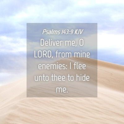 Picture 04 - Psalms 143:9 KJV - Deliver me, O LORD, from mine enemies: I flee - Bible Verse Picture