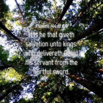 Picture 04 - Psalms 144:10 KJV - It is he that giveth salvation unto kings: who - Bible Verse Picture