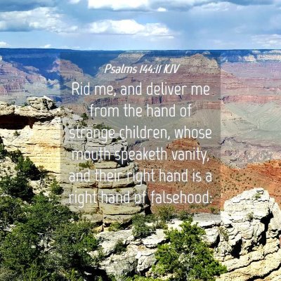 Picture 04 - Psalms 144:11 KJV - Rid me, and deliver me from the hand of strange - Bible Verse Picture