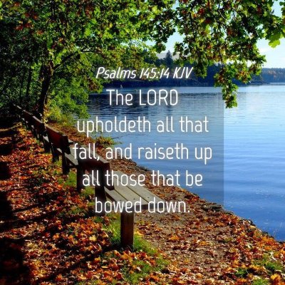 Picture 04 - Psalms 145:14 KJV - The LORD upholdeth all that fall, and raiseth up - Bible Verse Picture
