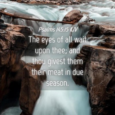 Picture 04 - Psalms 145:15 KJV - The eyes of all wait upon thee; and thou givest - Bible Verse Picture