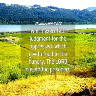 Picture 04 - Psalms 146:7 KJV - Which executeth judgment for the oppressed: which - Bible Verse Picture