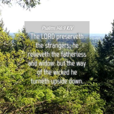 Picture 04 - Psalms 146:9 KJV - The LORD preserveth the strangers; he relieveth - Bible Verse Picture