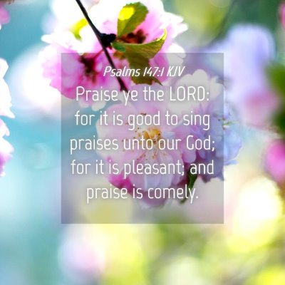 Picture 04 - Psalms 147:1 KJV - Praise ye the LORD: for it is good to sing - Bible Verse Picture