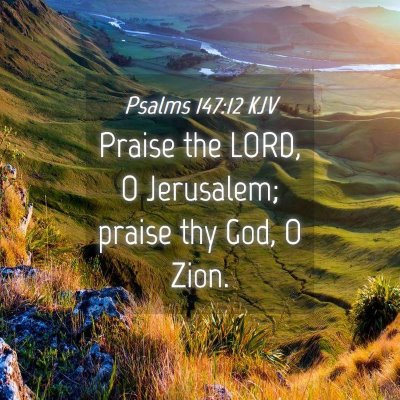 Picture 04 - Psalms 147:12 KJV - Praise the LORD, O Jerusalem; praise thy God, O - Bible Verse Picture