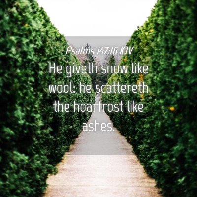 Picture 04 - Psalms 147:16 KJV - He giveth snow like wool: he scattereth the - Bible Verse Picture