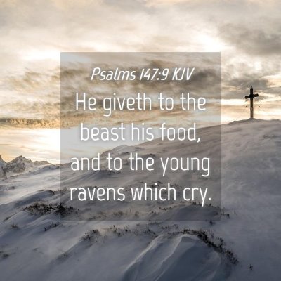 Picture 04 - Psalms 147:9 KJV - He giveth to the beast his food, and to the young - Bible Verse Picture