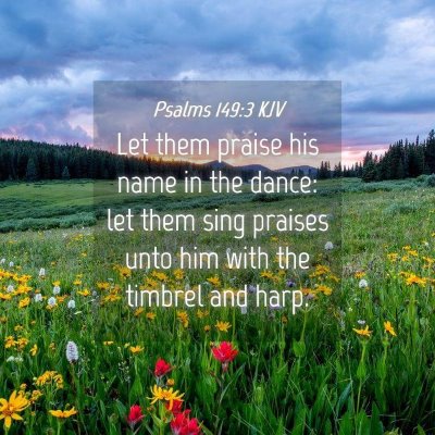 Picture 04 - Psalms 149:3 KJV - Let them praise his name in the dance: let them - Bible Verse Picture