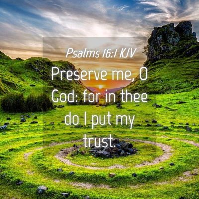 Picture 04 - Psalms 16:1 KJV - Preserve me, O God: for in thee do I put my - Bible Verse Picture