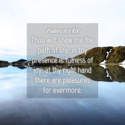 Picture 04 - Psalms 16:11 KJV - Thou wilt shew me the path of life: in thy - Bible Verse Picture