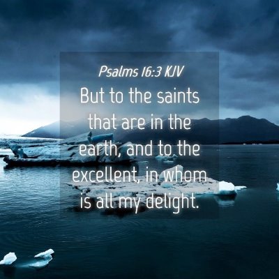 Picture 04 - Psalms 16:3 KJV - But to the saints that are in the earth, and to - Bible Verse Picture
