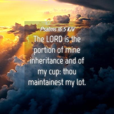Picture 04 - Psalms 16:5 KJV - The LORD is the portion of mine inheritance and - Bible Verse Picture