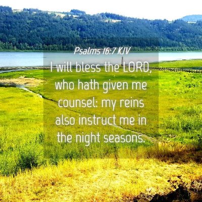 Picture 04 - Psalms 16:7 KJV - I will bless the LORD, who hath given me counsel: - Bible Verse Picture