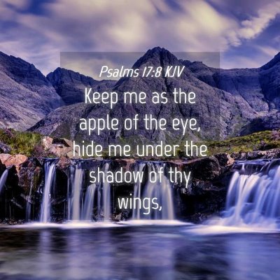 Picture 04 - Psalms 17:8 KJV - Keep me as the apple of the eye, hide me under - Bible Verse Picture