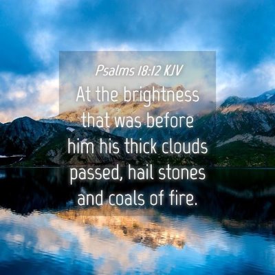 Picture 04 - Psalms 18:12 KJV - At the brightness that was before him his thick - Bible Verse Picture