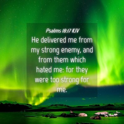 Picture 04 - Psalms 18:17 KJV - He delivered me from my strong enemy, and from - Bible Verse Picture
