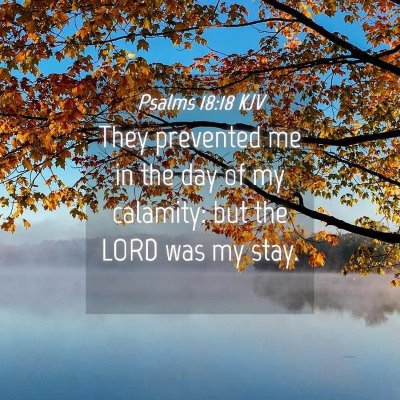 Picture 04 - Psalms 18:18 KJV - They prevented me in the day of my calamity: but - Bible Verse Picture