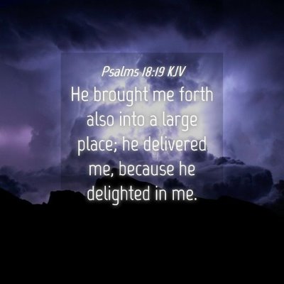 Picture 04 - Psalms 18:19 KJV - He brought me forth also into a large place; he - Bible Verse Picture