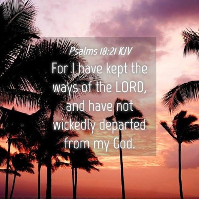 Picture 04 - Psalms 18:21 KJV - For I have kept the ways of the LORD, and have - Bible Verse Picture