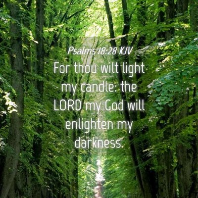 Picture 04 - Psalms 18:28 KJV - For thou wilt light my candle: the LORD my God - Bible Verse Picture