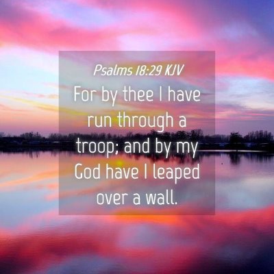 Picture 04 - Psalms 18:29 KJV - For by thee I have run through a troop; and by my - Bible Verse Picture