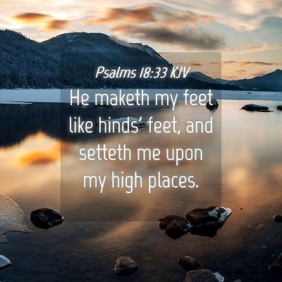 Picture 04 - Psalms 18:33 KJV - He maketh my feet like hinds' feet, and setteth - Bible Verse Picture