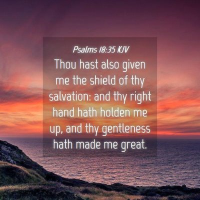 Picture 04 - Psalms 18:35 KJV - Thou hast also given me the shield of thy - Bible Verse Picture