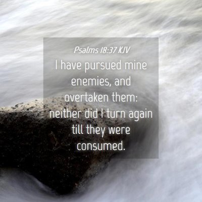 Picture 04 - Psalms 18:37 KJV - I have pursued mine enemies, and overtaken them: - Bible Verse Picture