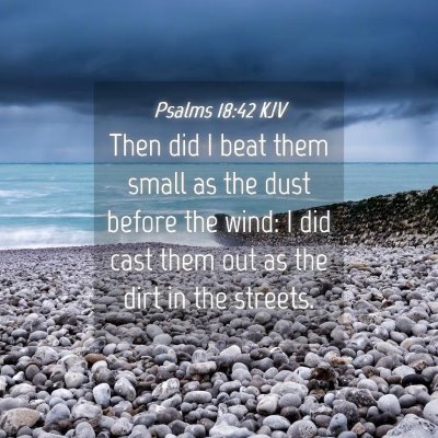 Picture 04 - Psalms 18:42 KJV - Then did I beat them small as the dust before the - Bible Verse Picture