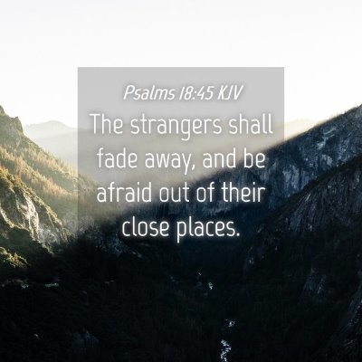 Picture 04 - Psalms 18:45 KJV - The strangers shall fade away, and be afraid out - Bible Verse Picture