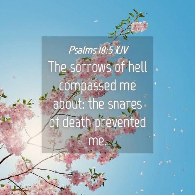 Picture 04 - Psalms 18:5 KJV - The sorrows of hell compassed me about: the - Bible Verse Picture