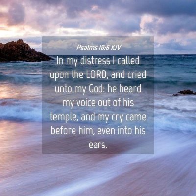 Picture 04 - Psalms 18:6 KJV - In my distress I called upon the LORD, and cried - Bible Verse Picture