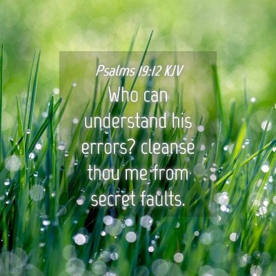 Picture 04 - Psalms 19:12 KJV - Who can understand his errors? cleanse thou me - Bible Verse Picture