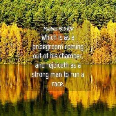Picture 04 - Psalms 19:5 KJV - Which is as a bridegroom coming out of his - Bible Verse Picture