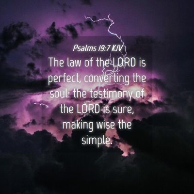 Picture 04 - Psalms 19:7 KJV - The law of the LORD is perfect, converting the - Bible Verse Picture