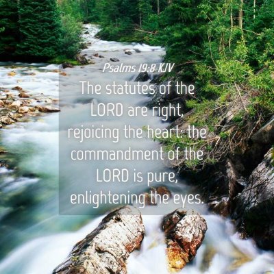 Picture 04 - Psalms 19:8 KJV - The statutes of the LORD are right, rejoicing the - Bible Verse Picture