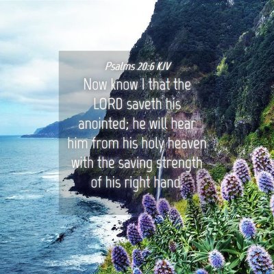 Picture 04 - Psalms 20:6 KJV - Now know I that the LORD saveth his anointed; he - Bible Verse Picture