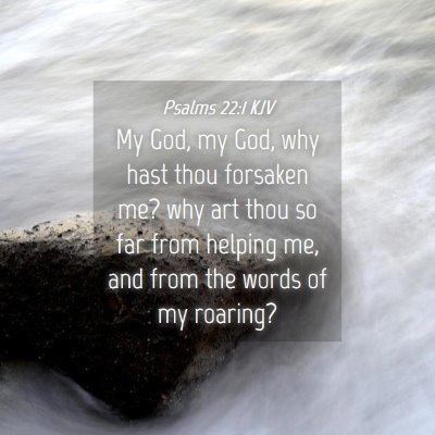Picture 04 - Psalms 22:1 KJV - My God, my God, why hast thou forsaken me? why - Bible Verse Picture