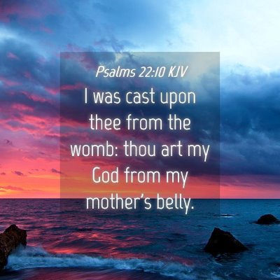 Picture 04 - Psalms 22:10 KJV - I was cast upon thee from the womb: thou art my - Bible Verse Picture